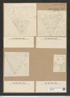Triceratium dobreeanum var. nova-zelandicum Gr. et Sturt (de-Toni-Nr.: Genus 140, Species 3759) Zeichnungen Sammlung Grunow Nr. 7274 (NHMW-BOT-W0376288)